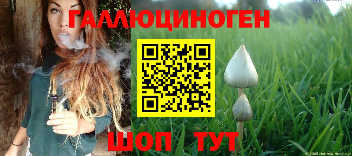 Псилоцибиновые грибы мухоморы Элиста