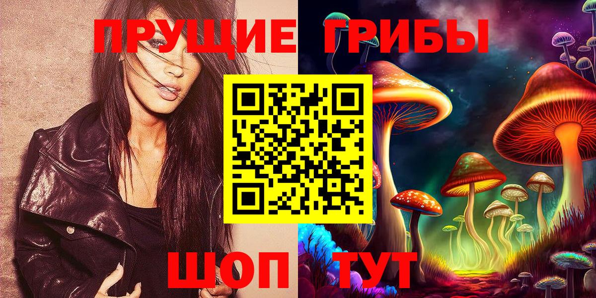Элиста  где купить наркоту  Вход с VPN  Галлюциногенные грибы MAGIC MUSHROOMS 